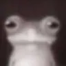 12016363604617544492