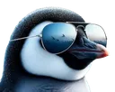 peng2 peng2