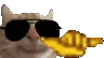 cool_cat cool_cat