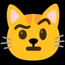 patchycat patchycat