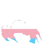 TransCrab