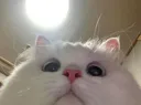 wakeuphooman