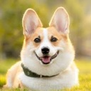 wagonngekoporbad wagonngekoporbad