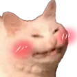 Cat Blush CatBlush Discord Emoji