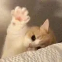hi