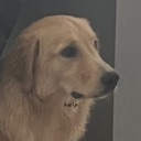 d_Help Discord Emoji | ☽・𝙇𝙪𝙣𝙖𝙧 𝙇𝙤𝙪𝙣𝙜𝙚・☽ 𝘈𝘯𝘪𝘮𝘦 ✦ 𝘔𝘶𝘴𝘪𝘤 ✦ 𝘊𝘩𝘢𝘵