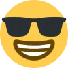 sunglassesgrin