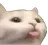 :CC_Cat_Cheh: CC_Cat_Cheh