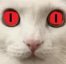 evilstare