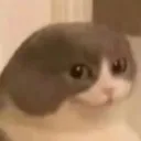 overdismisnonabunuselessfullyabl