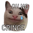 cwingecat