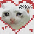 sadcat