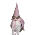 princesscat