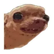 hehdog
