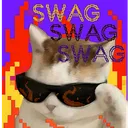 swagcat