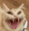 catrage