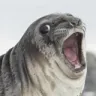 J7J