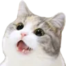 J8888888J