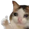 JJ2