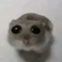 __ __
