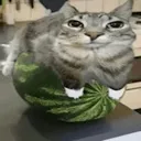 __
