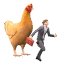 chickenchase