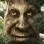 cursedwisetree