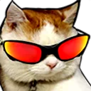 CoolCat1 Discord Emoji