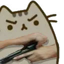 ToughCat Discord Emoji