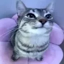 3_ 3_