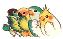 9628birdbirdsyes