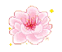flowerPink