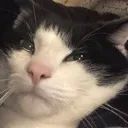 aTearofsadnessandtrauma