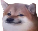 Cheems_Wut