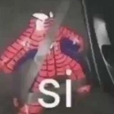 :si: