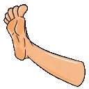 toesfeet