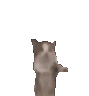 happy_cat