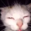 koi_kisu_dekhi_nahh_ koi_kisu_dekhi_nahh_