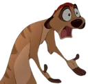 timon_choque