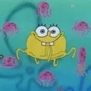 jellysponge