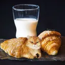 catmeal Discord Emoji