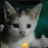 MBR_Joia Discord emoji