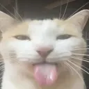 bleh