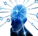 bigBrain