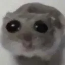 hamb