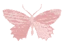 pinkbutterfly