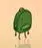 tiny_liam