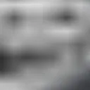 trolleadorcara