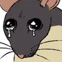 sadrat