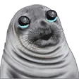 sealcry